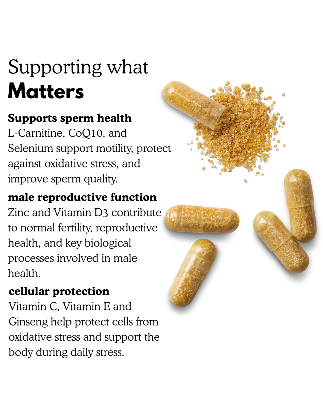 Male Fertility Complex