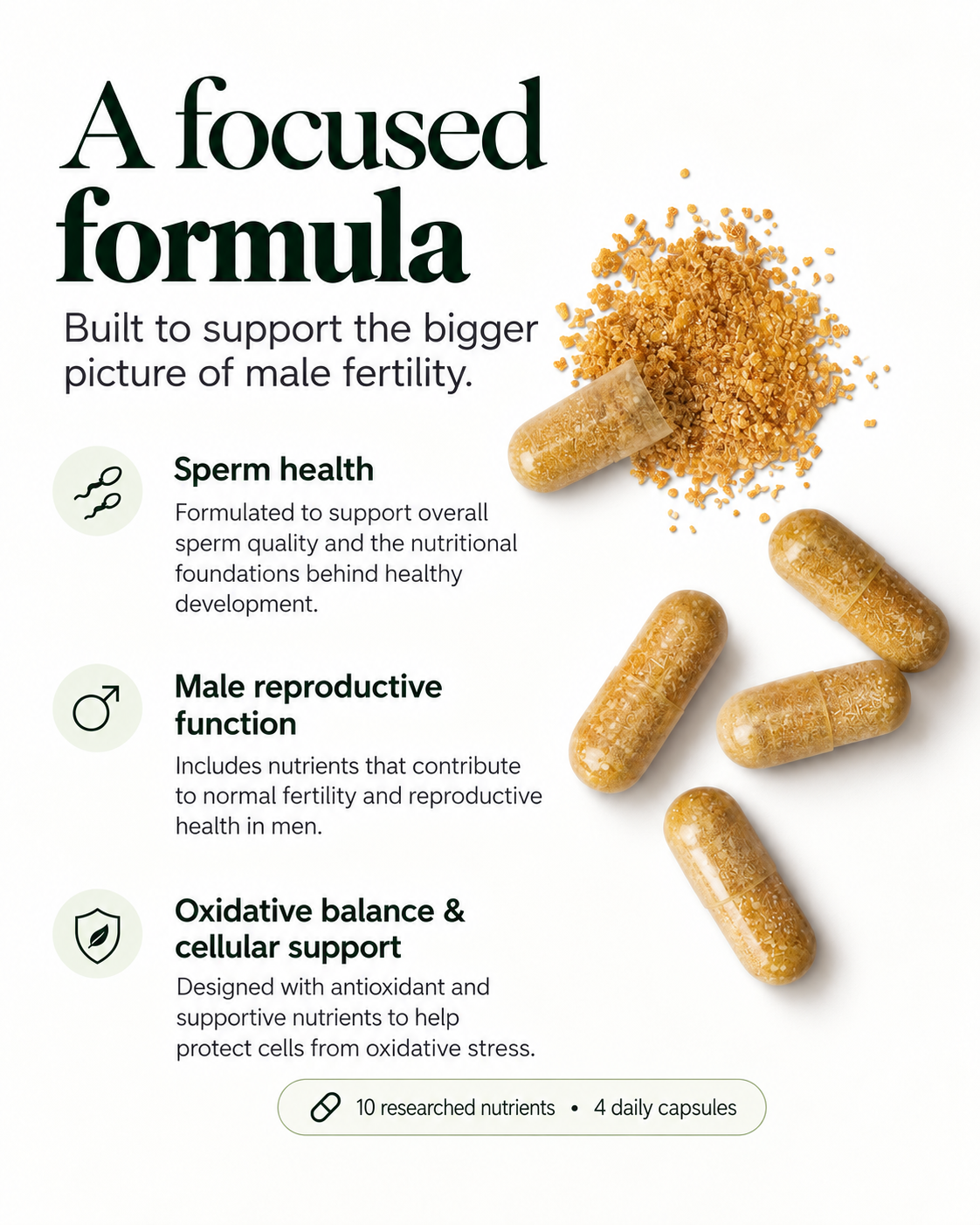 Male Fertility Complex capsules and the three areas the formula is built around